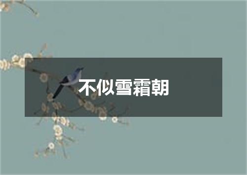 不似雪霜朝