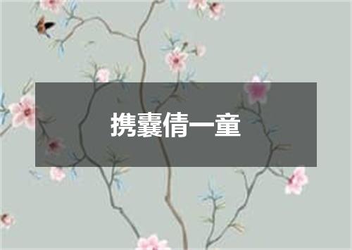 携囊倩一童