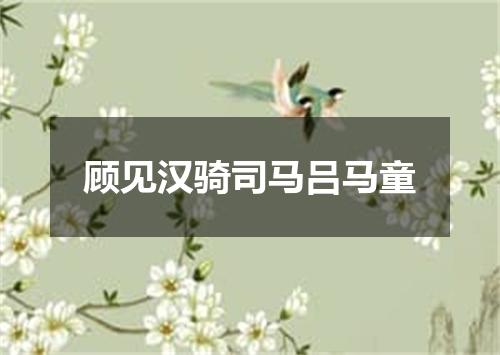 顾见汉骑司马吕马童