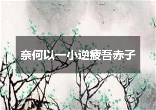奈何以一小逆疲吾赤子