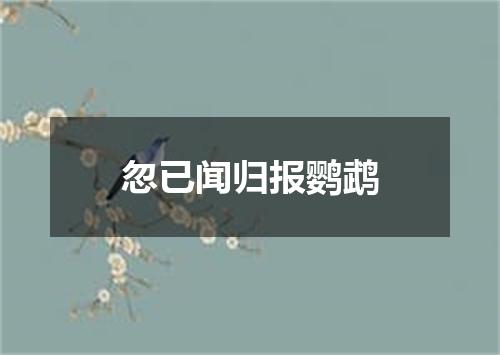忽已闻归报鹦鹉