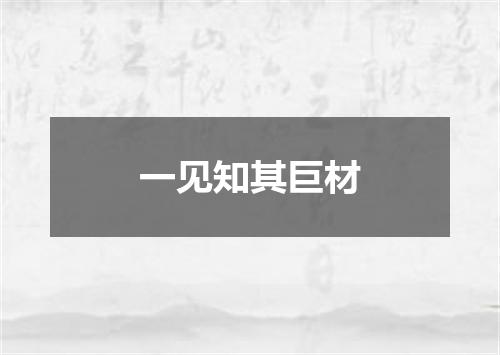 一见知其巨材