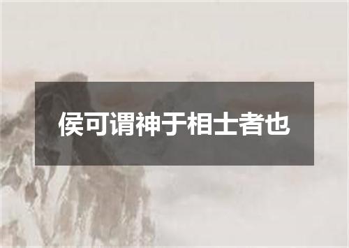 侯可谓神于相士者也