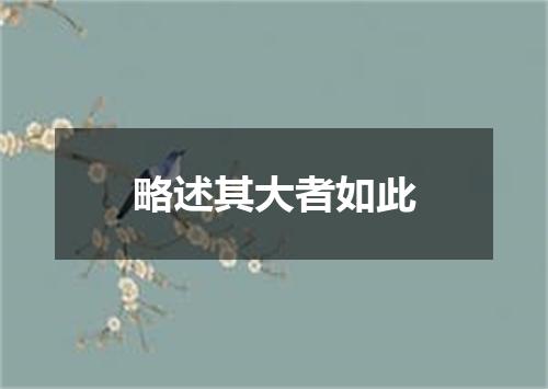 略述其大者如此