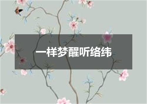 一样梦醒听络纬