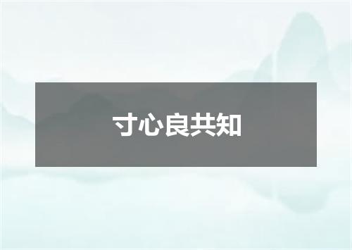 寸心良共知