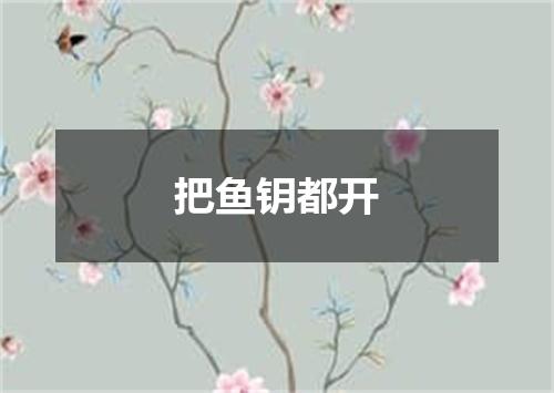 把鱼钥都开