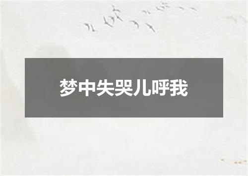 梦中失哭儿呼我