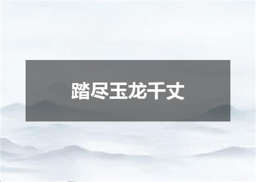 踏尽玉龙千丈