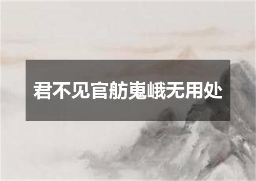 君不见官舫嵬峨无用处