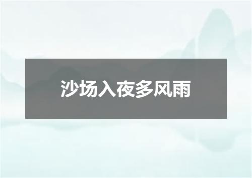 沙场入夜多风雨
