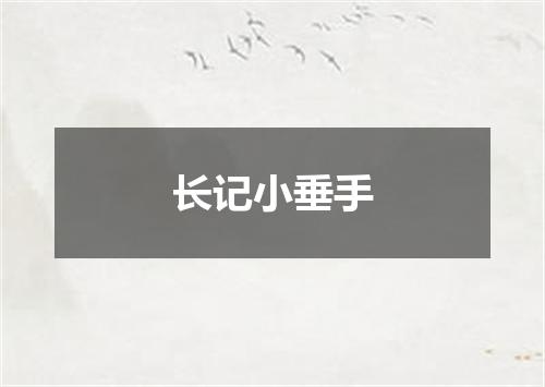 长记小垂手
