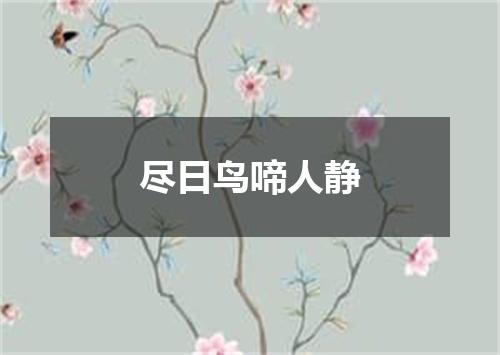 尽日鸟啼人静