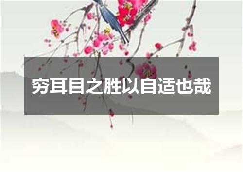 穷耳目之胜以自适也哉