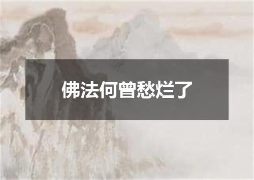 佛法何曾愁烂了