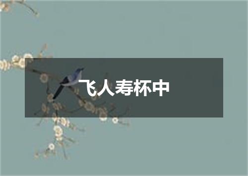 飞人寿杯中