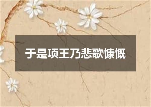 于是项王乃悲歌慷慨