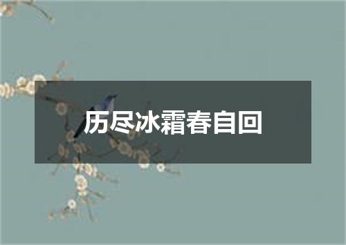 历尽冰霜春自回