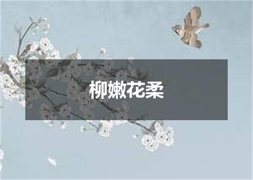 柳嫩花柔