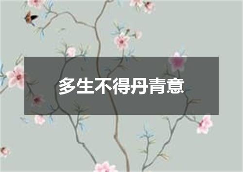 多生不得丹青意