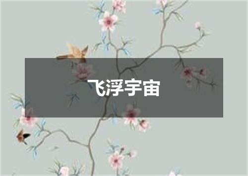 飞浮宇宙