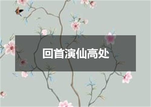 回首演仙高处