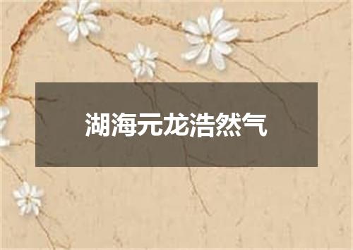 湖海元龙浩然气