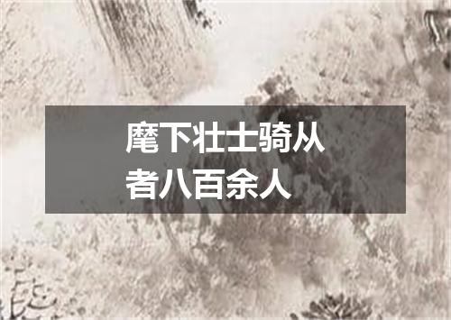 麾下壮士骑从者八百余人