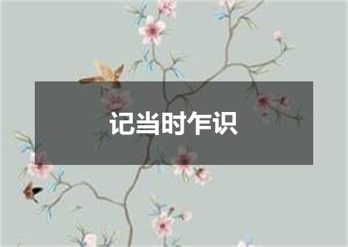 记当时乍识