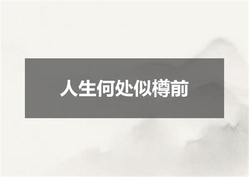 人生何处似樽前