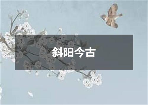 斜阳今古
