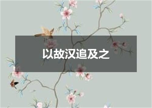 以故汉追及之
