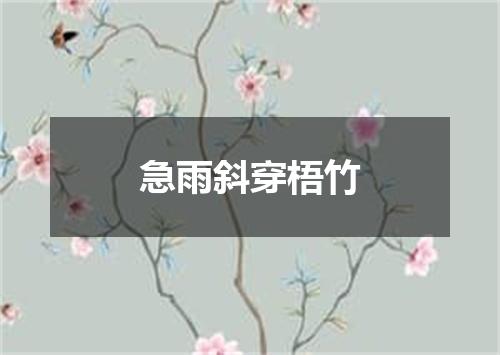 急雨斜穿梧竹