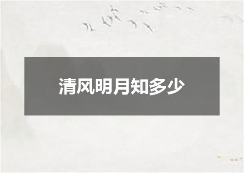 清风明月知多少