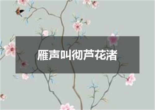 雁声叫彻芦花渚