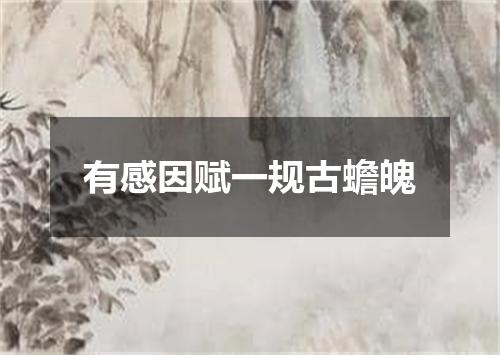 有感因赋一规古蟾魄