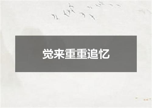 觉来重重追忆