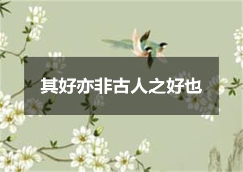 其好亦非古人之好也