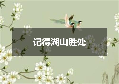记得湖山胜处