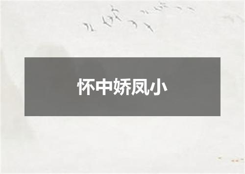 怀中娇凤小