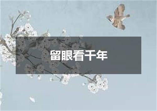留眼看千年