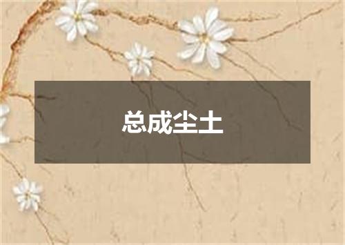 总成尘土