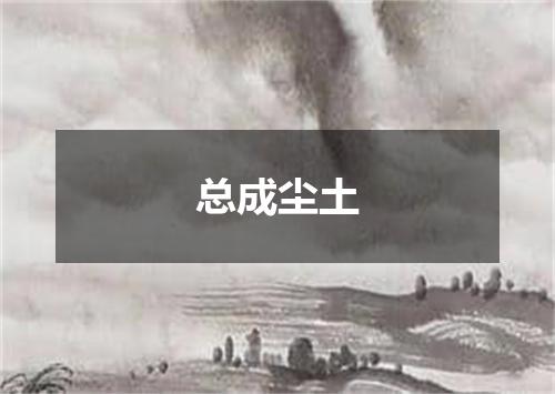 总成尘土