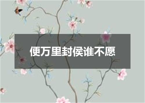 便万里封侯谁不愿