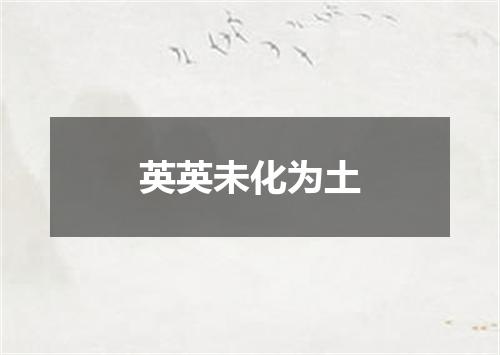 英英未化为土
