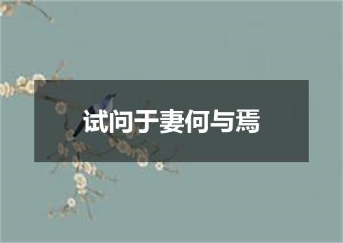 试问于妻何与焉