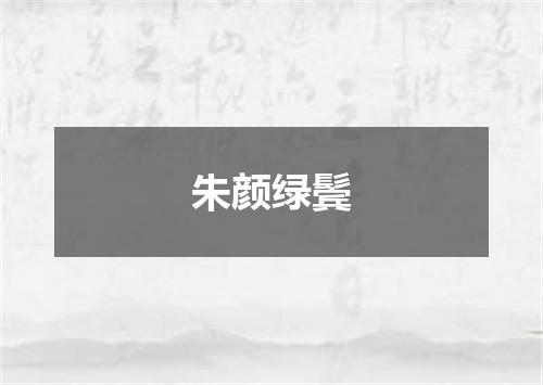 朱颜绿鬓