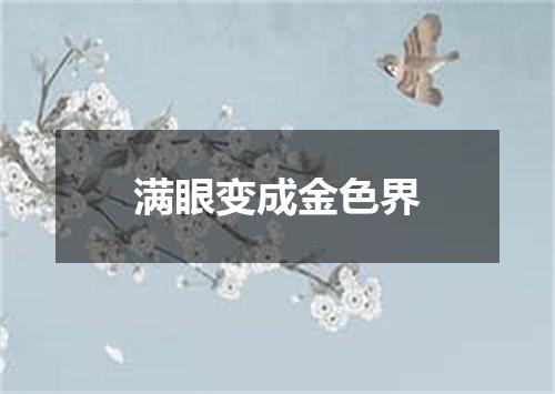 满眼变成金色界