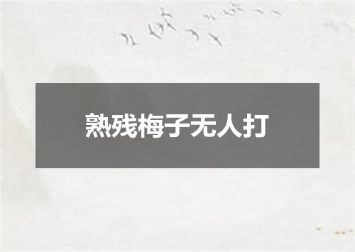 熟残梅子无人打