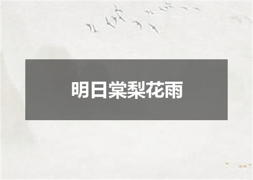 明日棠梨花雨